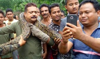 Лесник спас питона и стал фоткаться с ним на память. Змей улучил момент и превратил селфи в схватку за жизнь